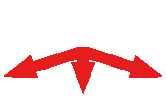 Insurance Quotes